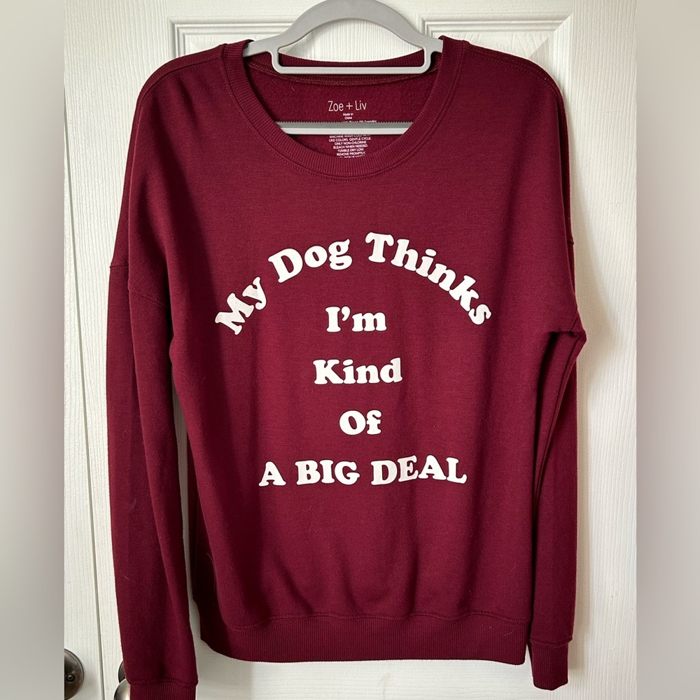 Maroon sweater